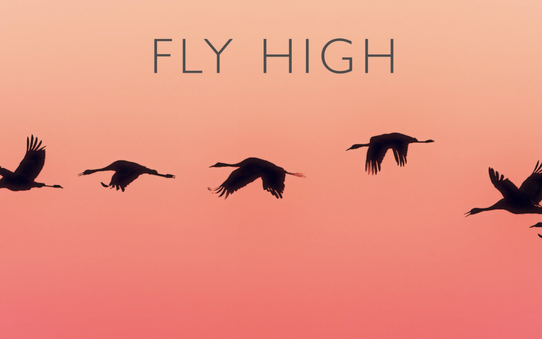 Ooberfuse – Brand new single “Fly High” featuring JVNR – Out now