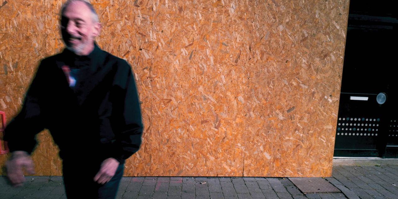 Steve ‘Avo’ Lindsey – New single ‘Royal Iris’