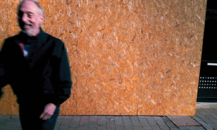 Steve ‘Avo’ Lindsey – New single ‘Royal Iris’