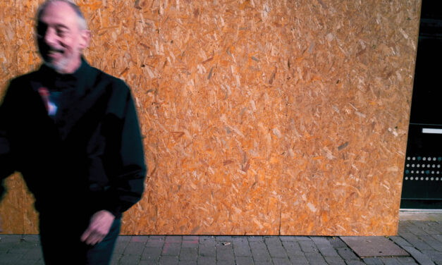 Steve ‘Avo’ Lindsey – New single ‘Royal Iris’